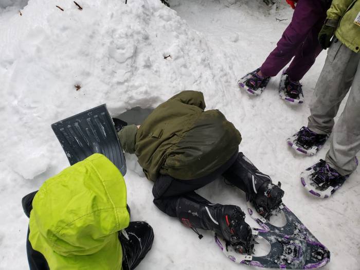 c6f2ad71-b0a4-4bdd-9879-66351d65d6dc